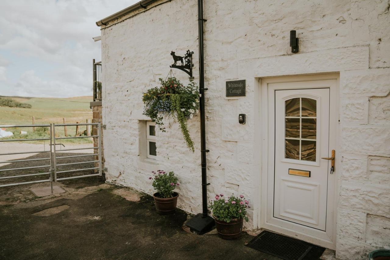 White Side Cottage Haltwhistle Dış mekan fotoğraf